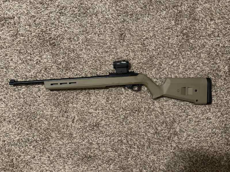 Ruger 10-22 w/red dot .22LR