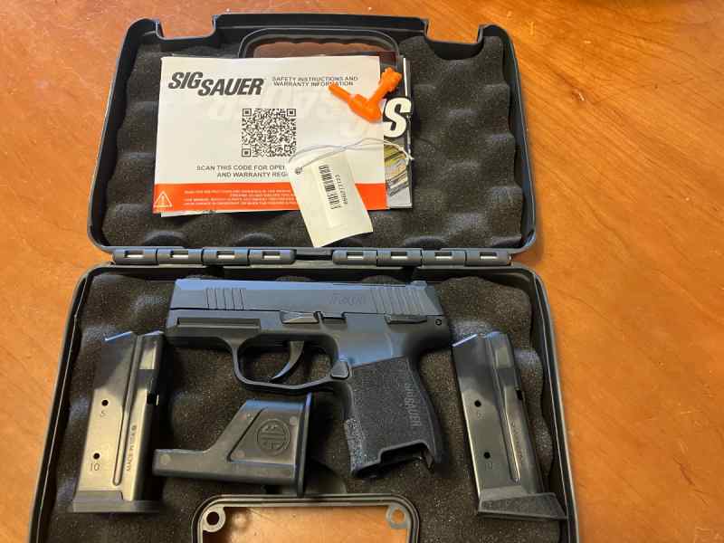 Sig Sauer p365  .380