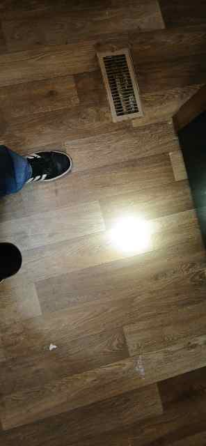 20250718_110631.jpg