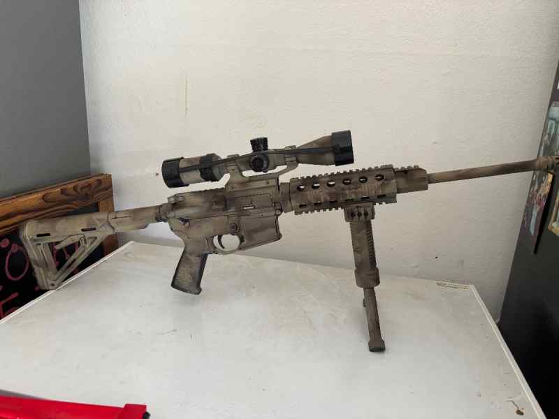 DPMS with Bushnell scope *safe sell* 