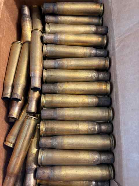.50 Reloading Brass 