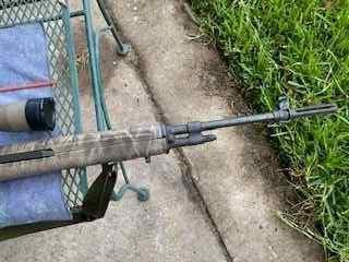 m14-3.jpg