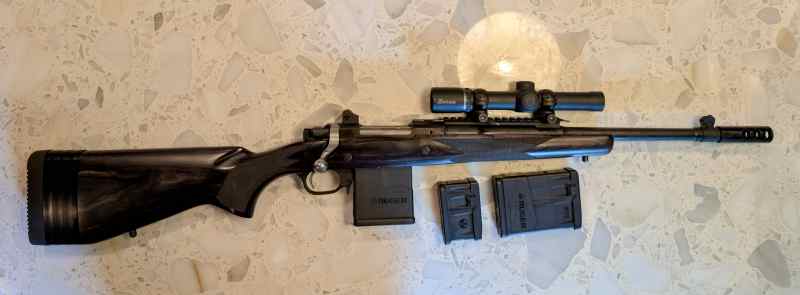 .308 Ruger Scout