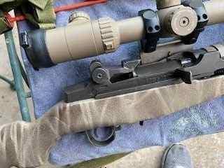 m14-2.jpg